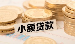 东莞急用空放-东莞急用个人短借-东莞急用身份证小额贷款