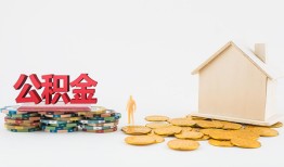 东莞急用个人创业贷款-东莞急用哪有民间借贷-东莞急用小额贷款地址